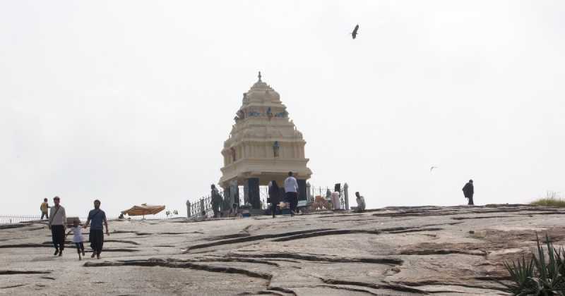 Tour De Lalbagh Flower Show 2016