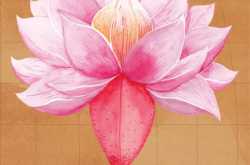 Tracing the contours of memory