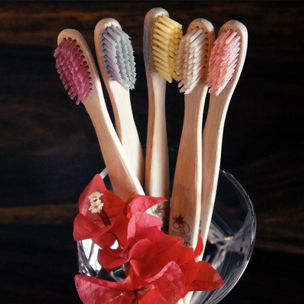 Trancewriter On DENTAL CARE