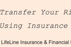 Transfer Your Risk Using Insurance