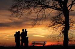 Transnational Surrogacy factors like Legality, Country & Citizenship