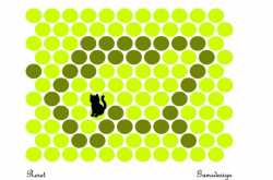 Trap the Cat-An addictive Flash game