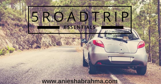 Travel: 5 Road Trip Essentials 
