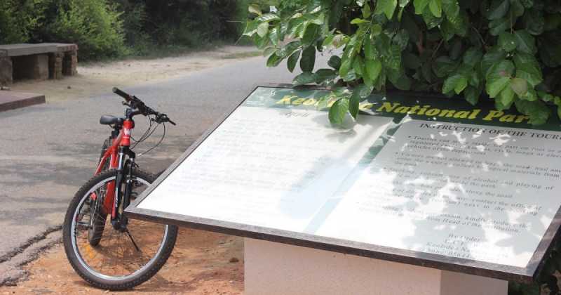 Travel: Bharatpur Bird Sanctuary- Bird