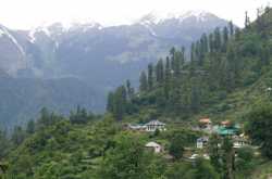 Travel Diaries: Tosh (Himachal Pradesh, India)