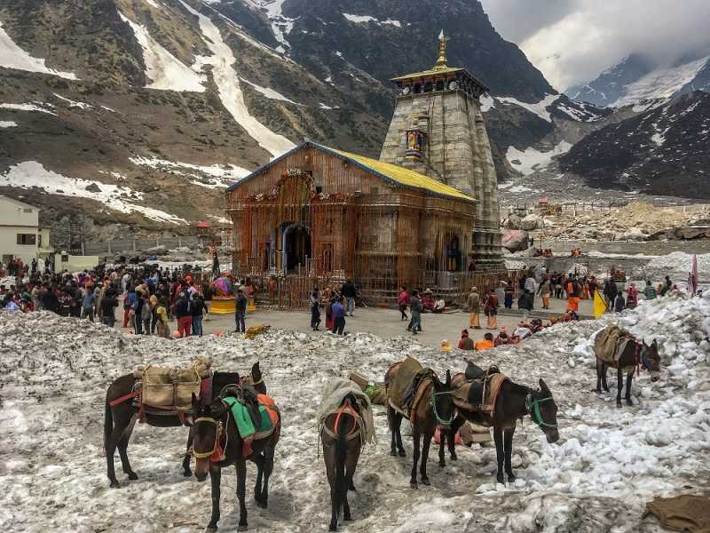 Travel Guide To Kedarnath Temple ﻿ - All Gud Things