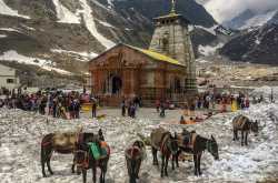Travel Guide to Kedarnath Temple ﻿ - All Gud Things