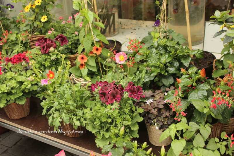 Travel: More Floral Artistry In Zurich