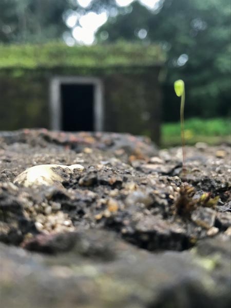 Travel To The Ancient Temple Ruins Of Gersoppa - Peppered With Stories