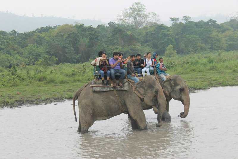 Travel-minded Friends In Kaziranga Safari - The Travellist