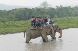 Travel-minded friends in Kaziranga safari - The Travellist