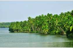 Traveller’s Paradise - 2