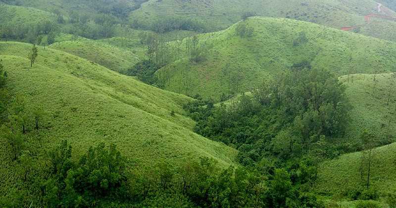 Travellers Paradise - 