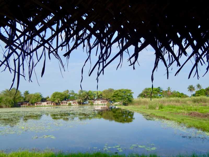 Travelling To Kerala After The Floods? Here Are 5 Things You Need To Know   - Munni Of All Trades