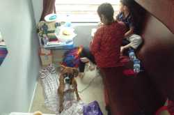 Travelling with a Dog by Train