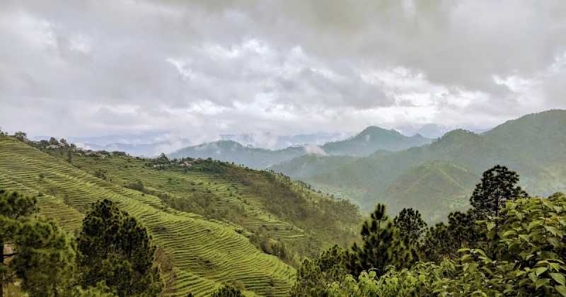 Travelogue Itmenaan Estate, Chalnichinna, Dist Almora, Uttarakhand, India