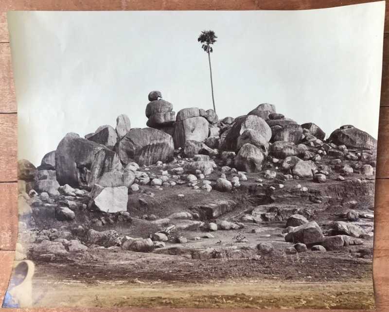 Tree In Rocky Landscape - C. 1860