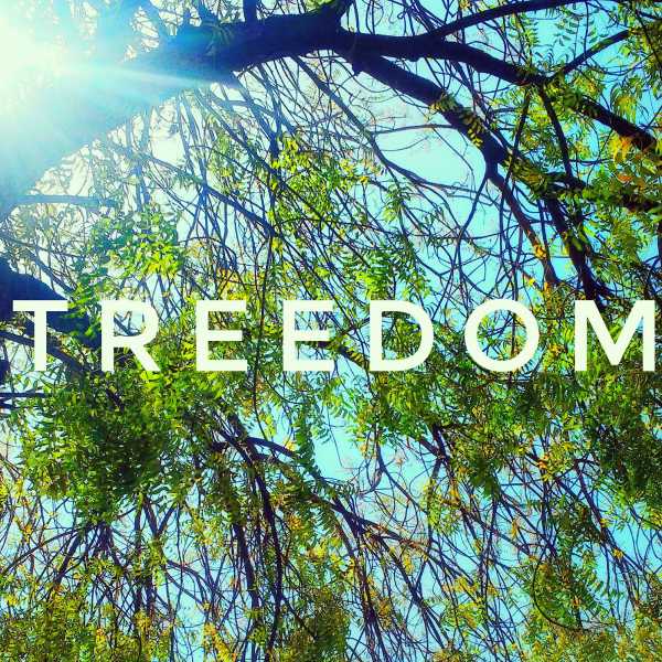 Treedom