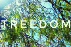 Treedom