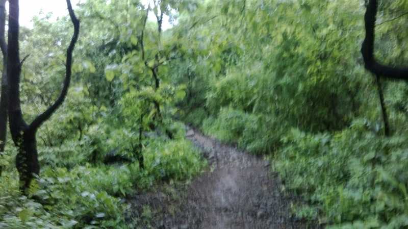 Trek To Chinchoti Waterfalls 