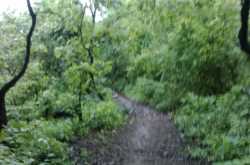 Trek to Chinchoti Waterfalls 