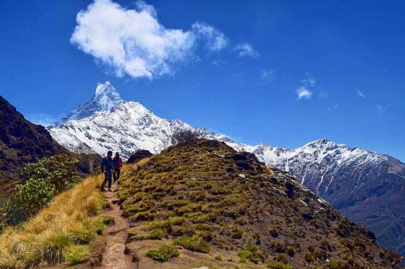 Trekking Companies In Nepal [A Best Agency, How To Choose]