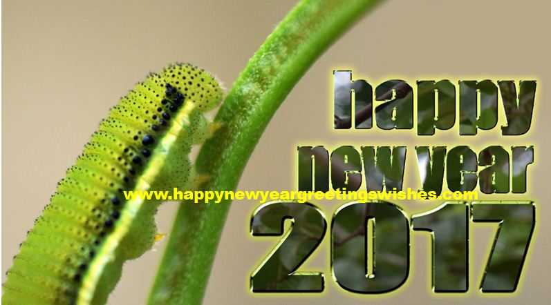 Trending Happy New Year 2017 SMS