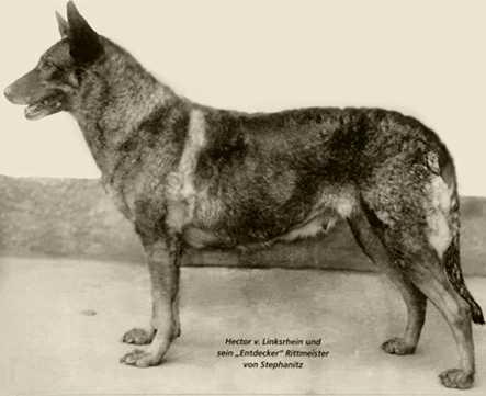 Tribute To Horand Von Grafrath