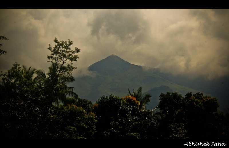 Trip To Kerala (Wayanad)