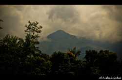 Trip to Kerala (Wayanad)