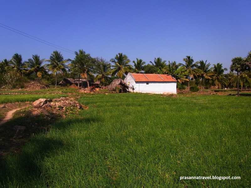 Trip To Vellithiruppur - The Big Adventure