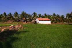 Trip to Vellithiruppur - The Big Adventure