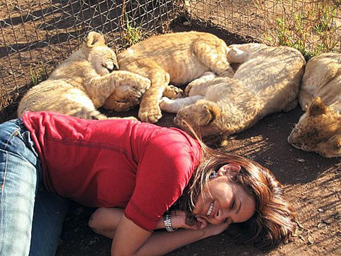 Tripura CM Feels Diana Hayden Is Not Ideal Indian Beauty Because Of Her Dusky Skin - MumbaiGloss