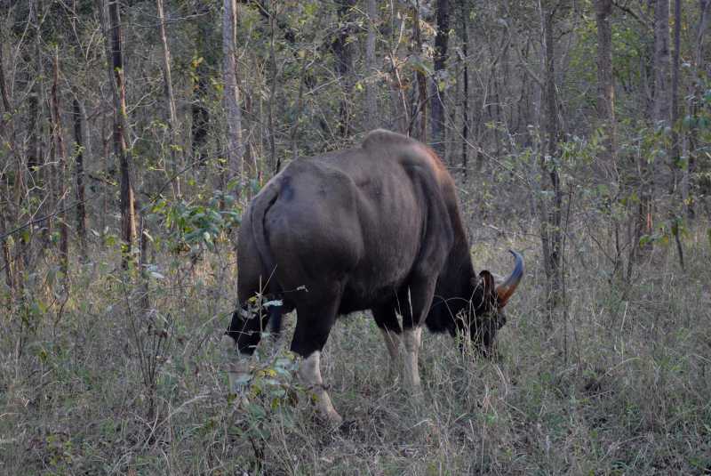 Trust #AtoZchallenge : Kalpanaawrites Haiku Women