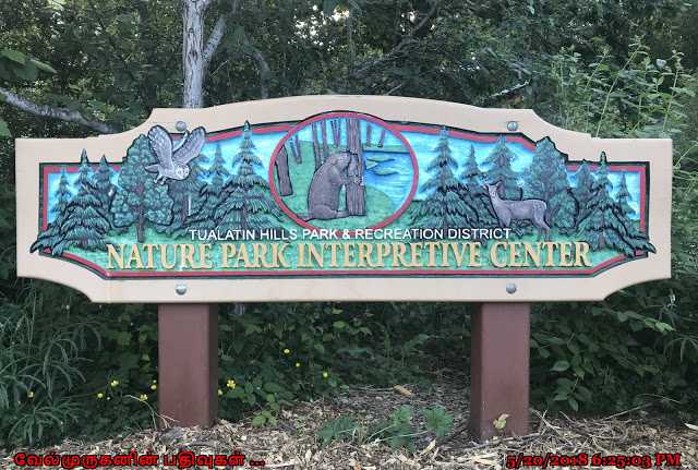 Tualatin Hills Nature Park Trail