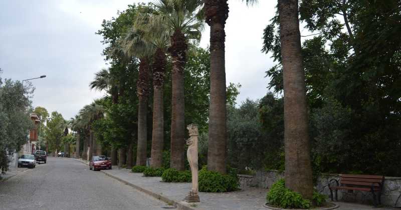 Turkish Diaries: Part 3