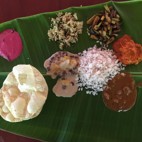 Turning Pages At Pepper Trail