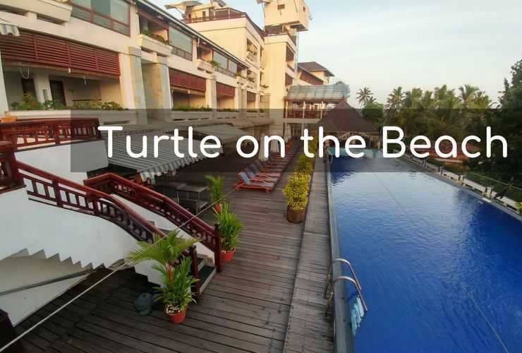 Turtle On The Beach - Stay In The Lap Of Luxury And Nature At Kovalam