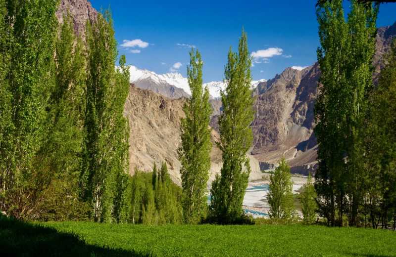 Turtuk - An AMAZING Guide To This Offbeat Place In Ladakh