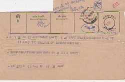 Twins, One Year Apart 