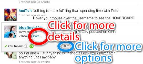 Twitter Hovercard: Preview Tweep Details Directly From Timeline