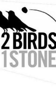 Two Birds, One Stone - 200 Word Micro Fiction