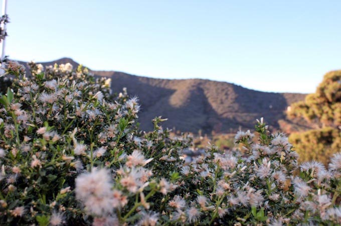 Two Harbors, Catalina