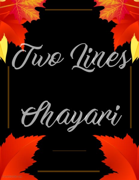 Two Lines Shayari In Hindi | 2 Lines Hindi Status - Shayaristatus.com