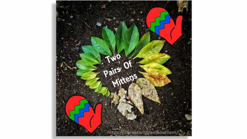 Two Pairs Of Mittens #FridayReflections