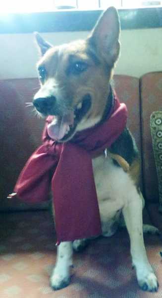 Two Hours Lies In The Eyes Of My Innocent One