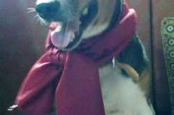 Two hours lies in the eyes of my innocent one