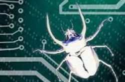 Types of Computer Attacks - Star Infranet