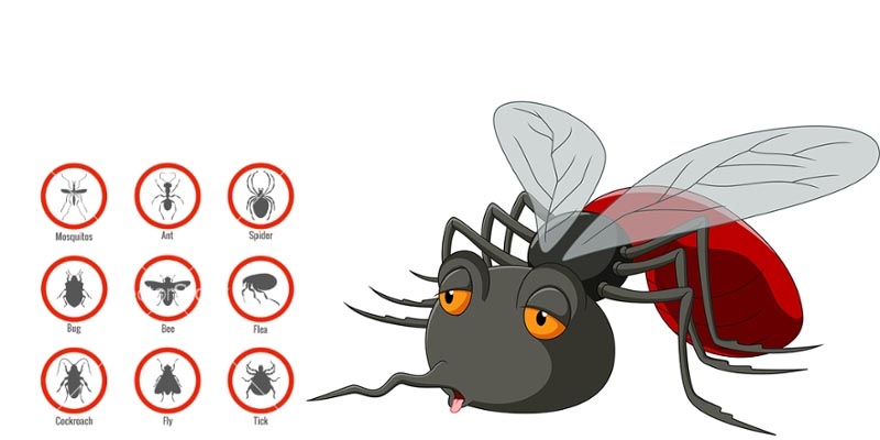 Types Of Pests And Controlling Methods