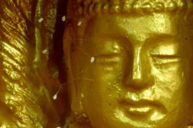 U- Udumbara…#ATOZ2018 #BLOGCHATTERA2Z #A2ZCHALLENGE